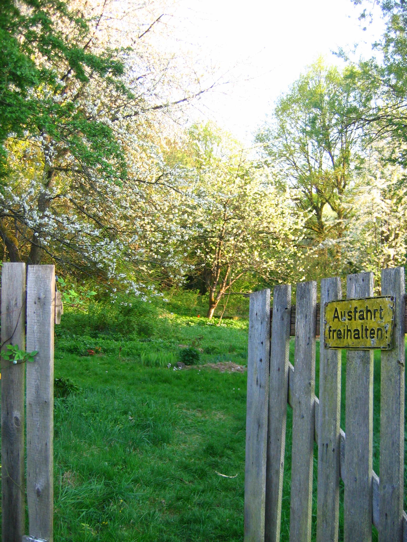 Naturheilpraxis Esther Bauerei, Heilpraktikerin Bamberg, Homopathie Phythotherapie Atemtherapie