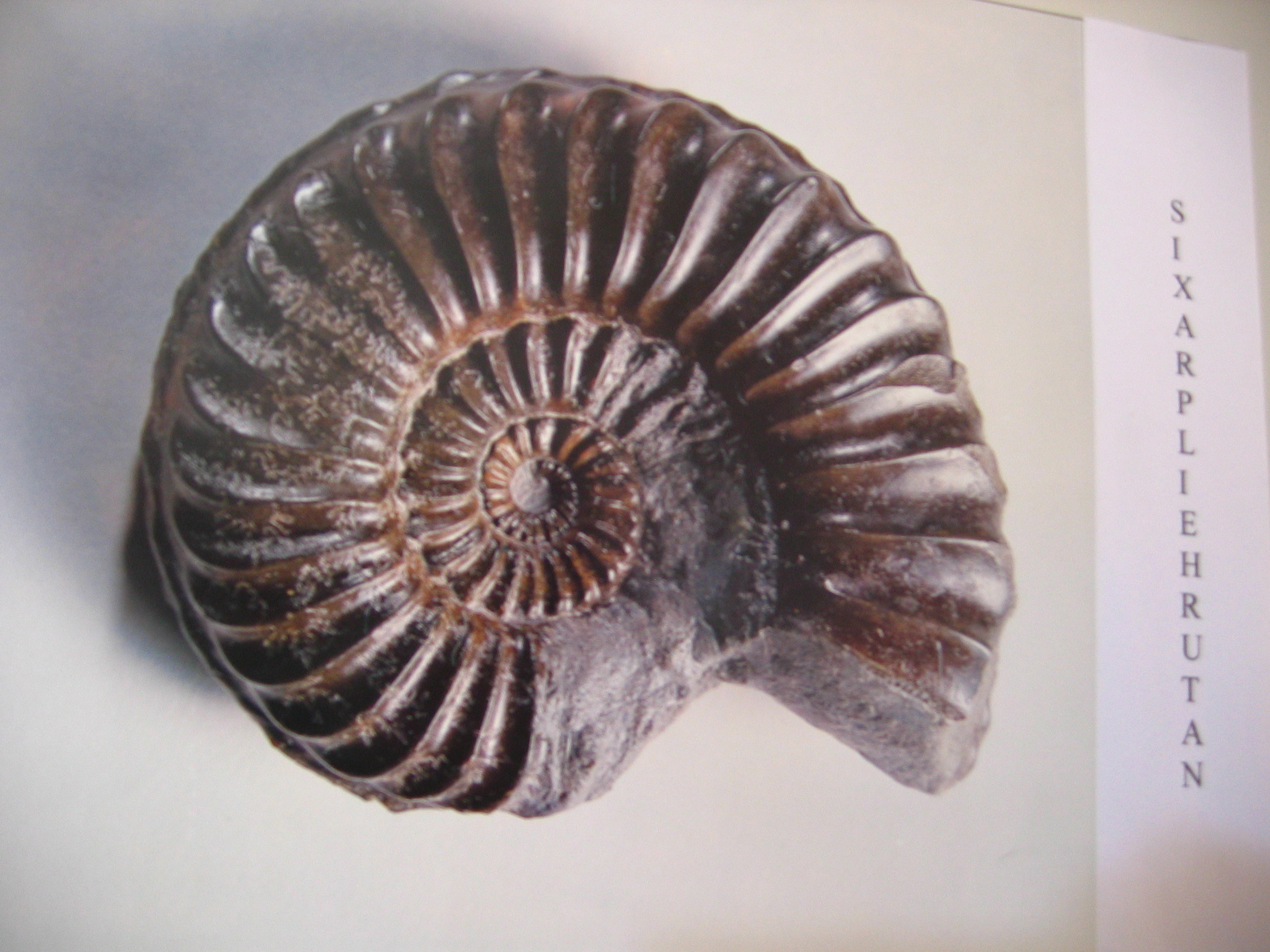 Naturheilpraxis Esther Bauerei, Heilpraktikerin Bamberg, Homopathie Phythotherapie Atemtherapie