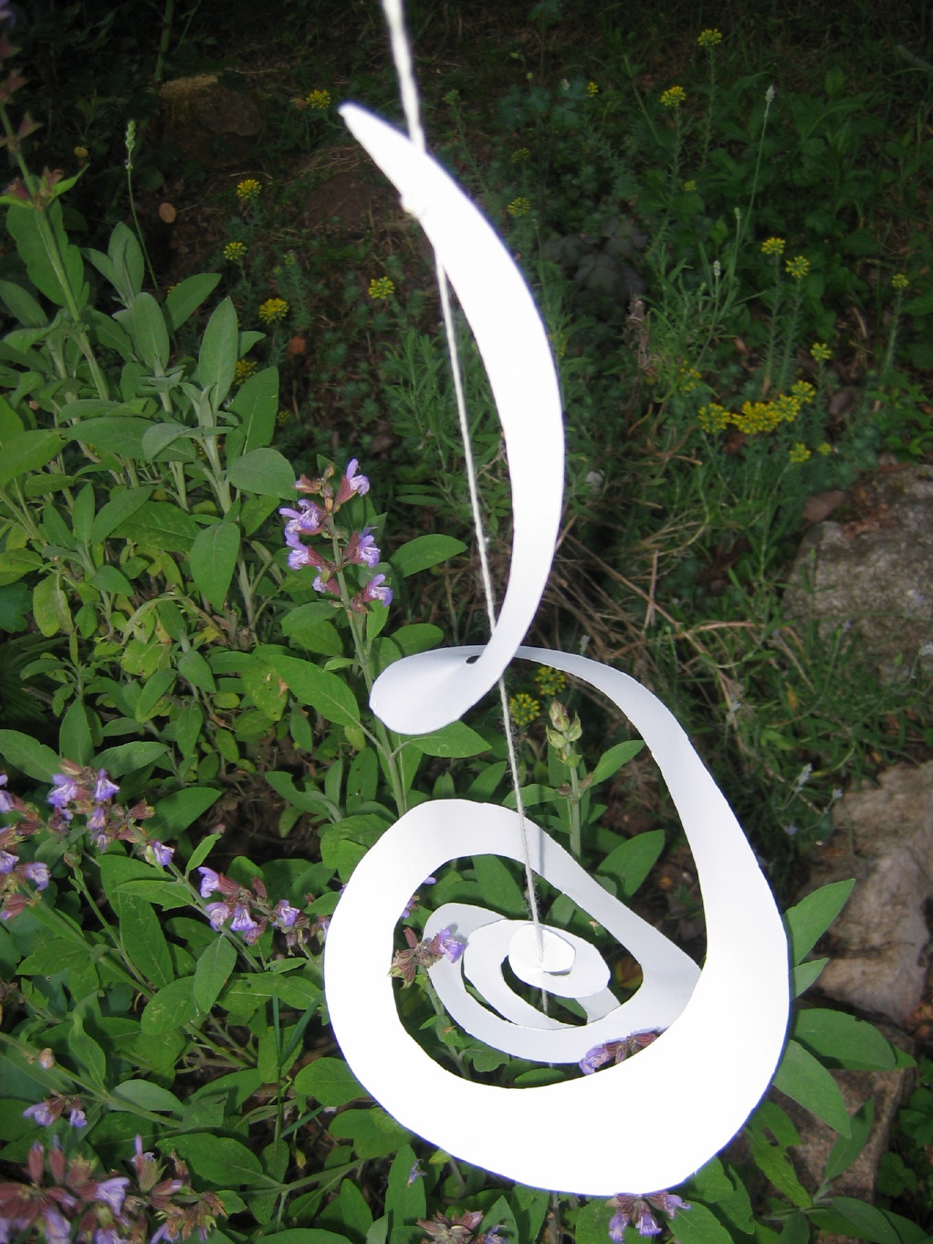 Naturheilpraxis Esther Bauerei, Heilpraktikerin Bamberg, Homopathie Phythotherapie Atemtherapie