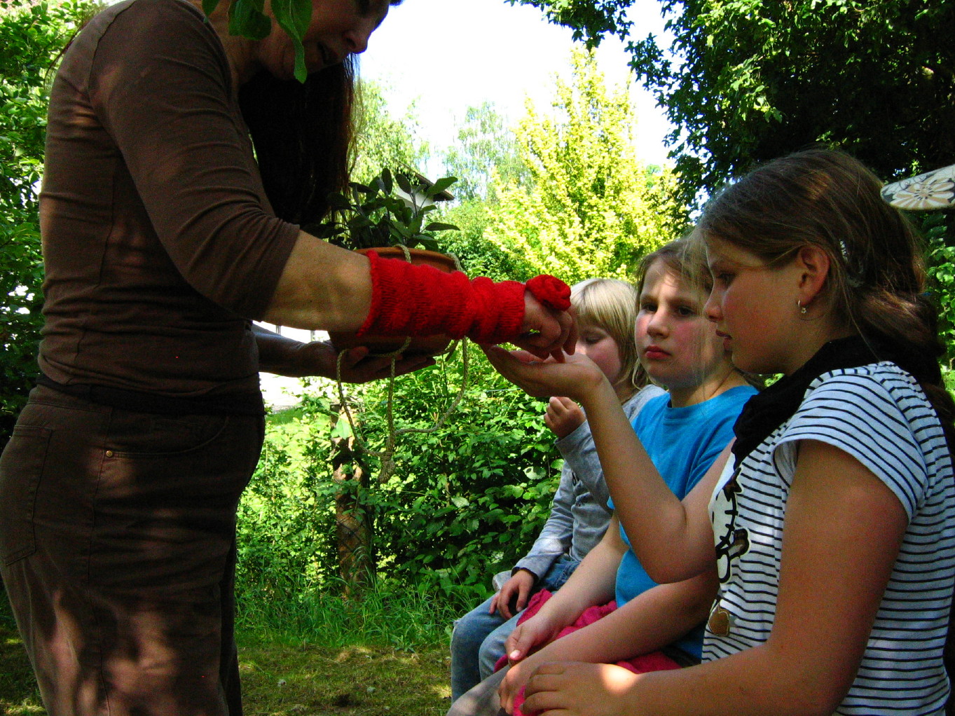 Naturheilpraxis Esther Bauerei, Heilpraktikerin Bamberg, Homopathie Phythotherapie Atemtherapie