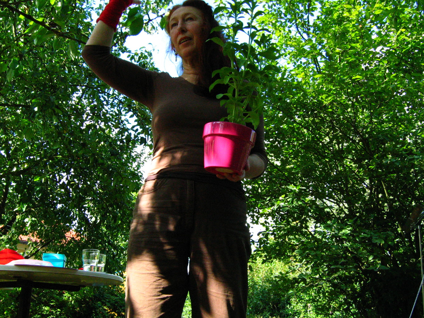 Naturheilpraxis Esther Bauerei, Heilpraktikerin Bamberg, Homopathie Phythotherapie Atemtherapie